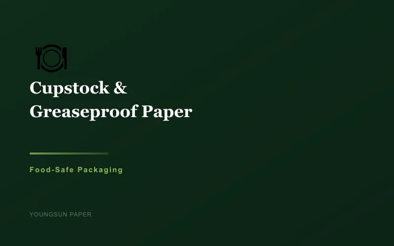Cupstock and Greaseproof Paper: A Technical Buyer's Guide to Food-Safe Paper Packaging